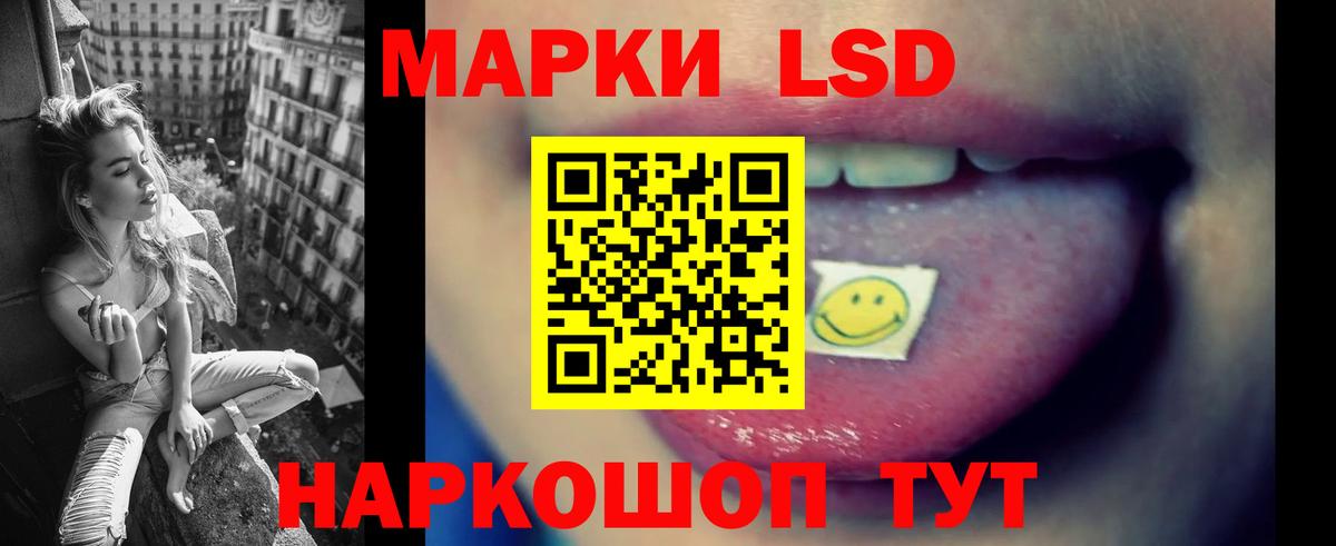 Альфа ПВП Каменка