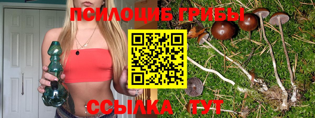 Псилоцибиновые грибы Magic Shrooms  Вход с VPN  Каменка 